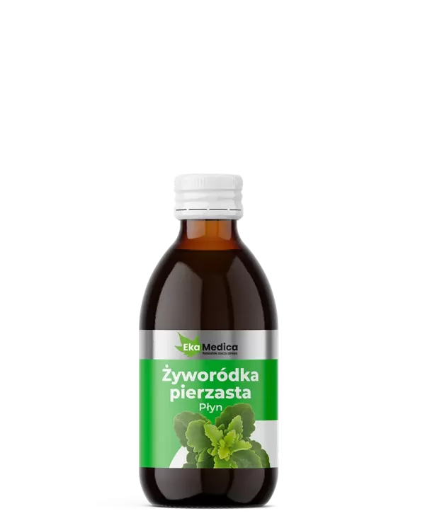 1885 Żyworódka Pierzasta płyn 250 ml - obrazek 1